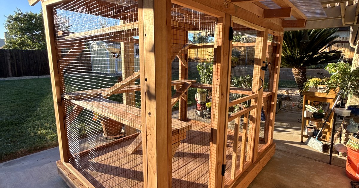 Custom cedar framed outdoor patio enclosure with wire mesh, access door and weather roof